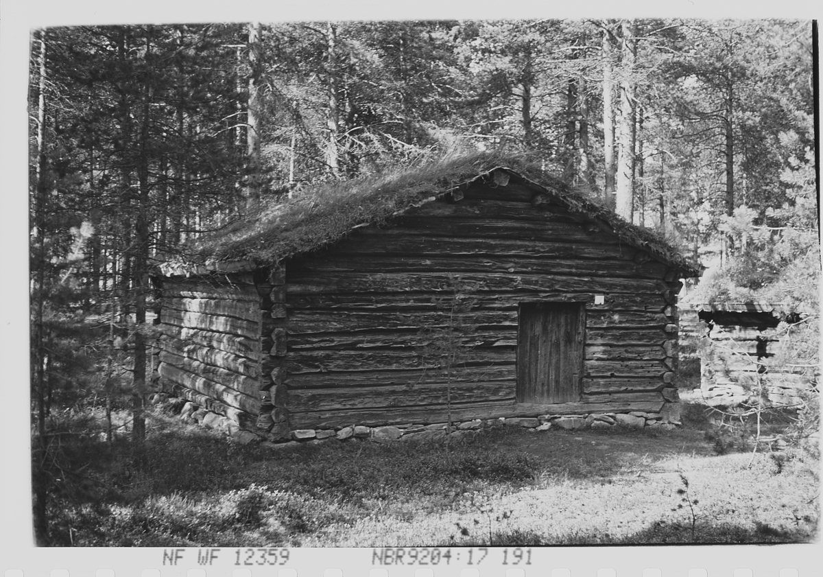 Anders Beer Wilse, Prot: Tömmerkoie