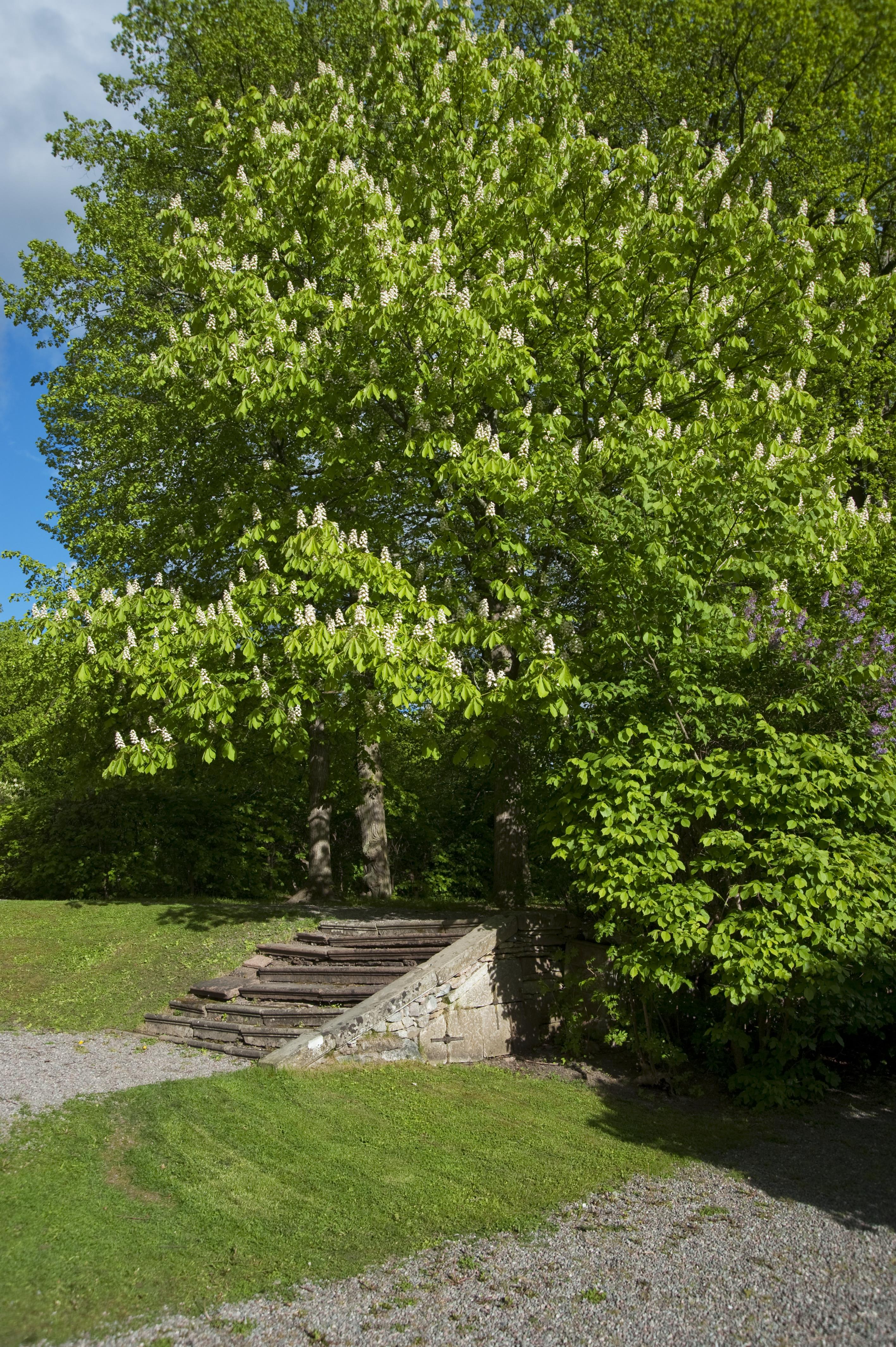 Bengt A Lundberg, Näsby slott