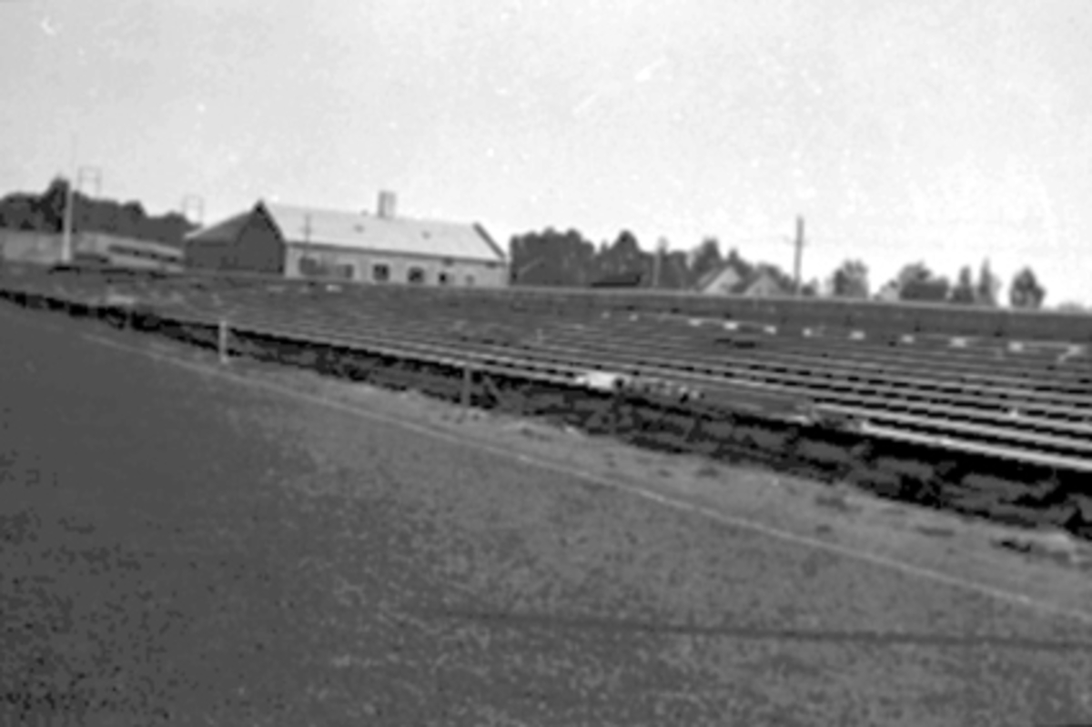 Anno Domkirkeodden, TRIBUNEANLEGGET, BRISKEBY GRESSBANE, HAM-KAM