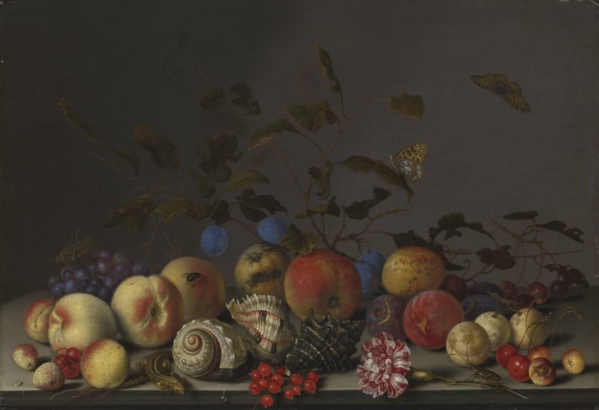 Balthasar van der Ast, Stilleven van vruchten, schelpen, een anjer en een hagedis op een stenen plint