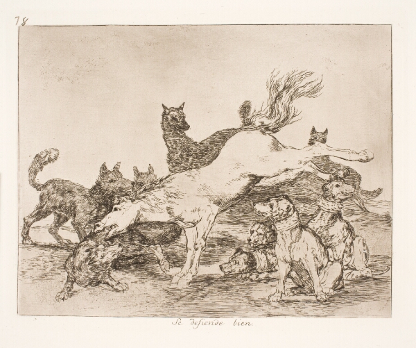 Francisco de Goya, De forsvarer sig godt (78)