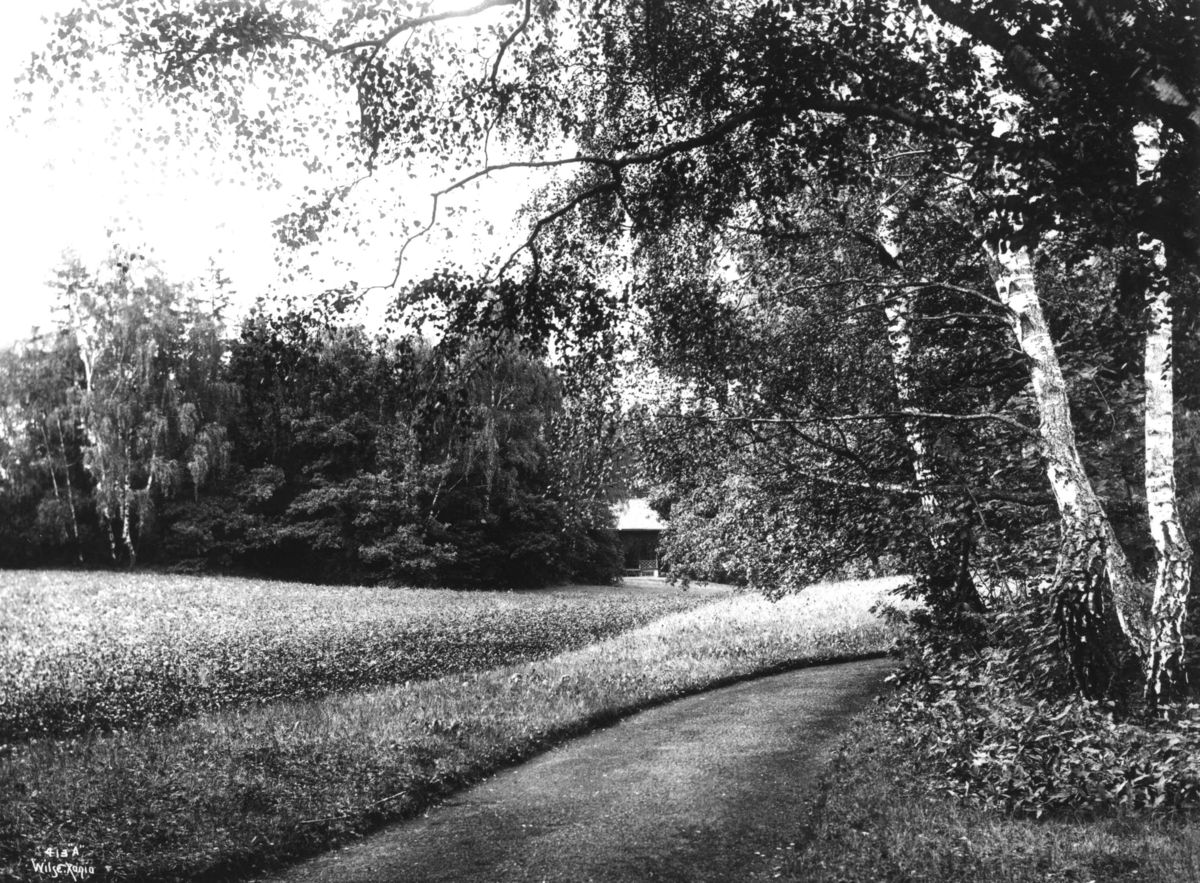 Anders Beer Wilse, Skøyen hovedgård, Oslo 1903. Husmannstue og kløvermark.
