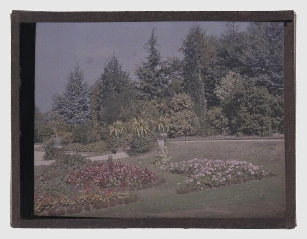 Unknown, Garden study