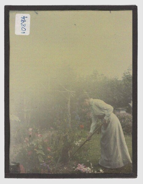 Unknown, Portrait of woman in garden