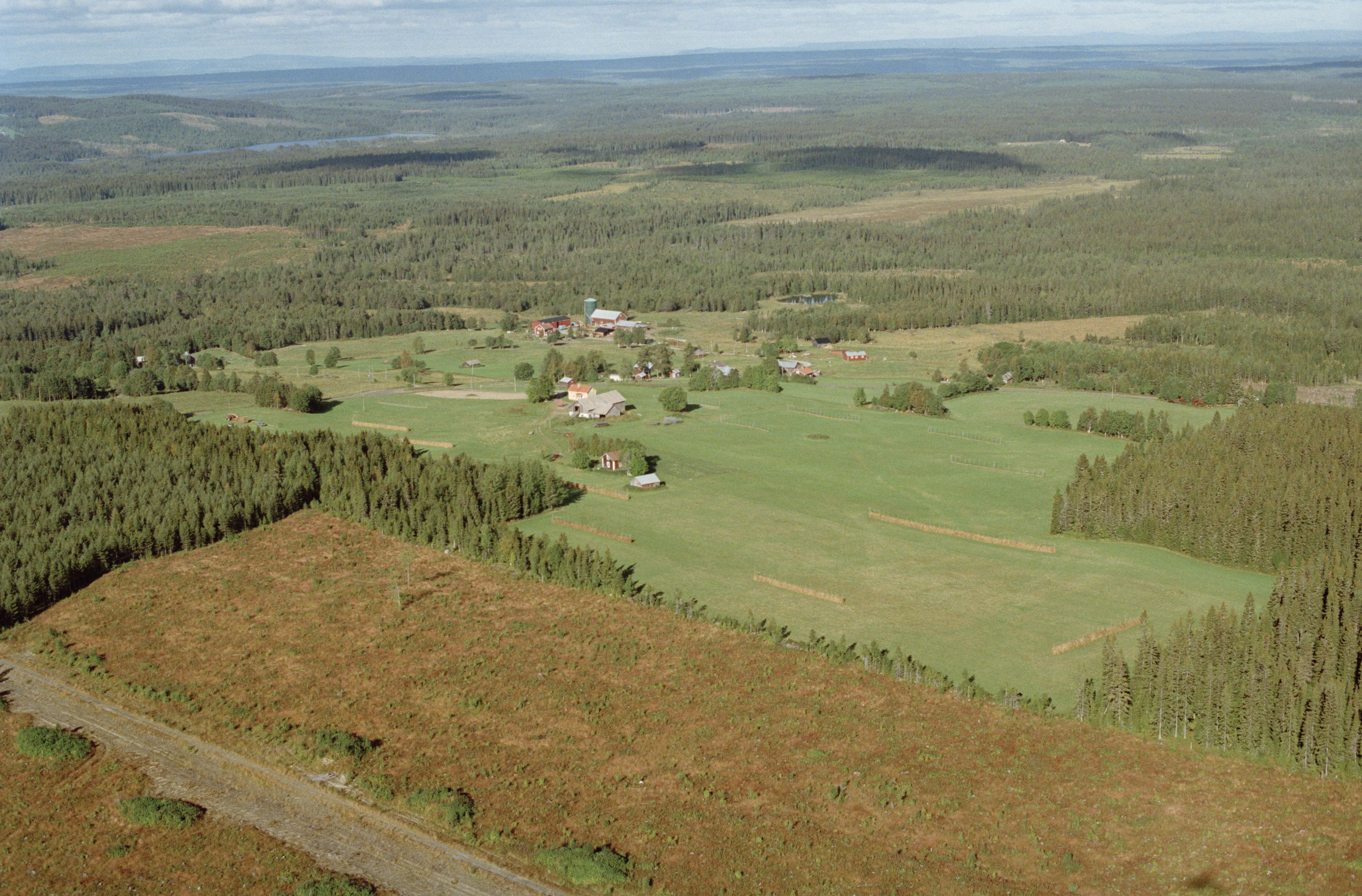 Jan Norrman, Häggenås 520