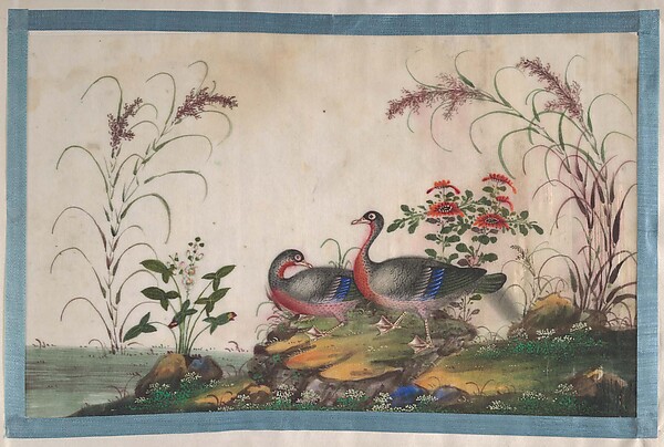 Unidentified artist, Album Containing Twelve Paintings of Birds