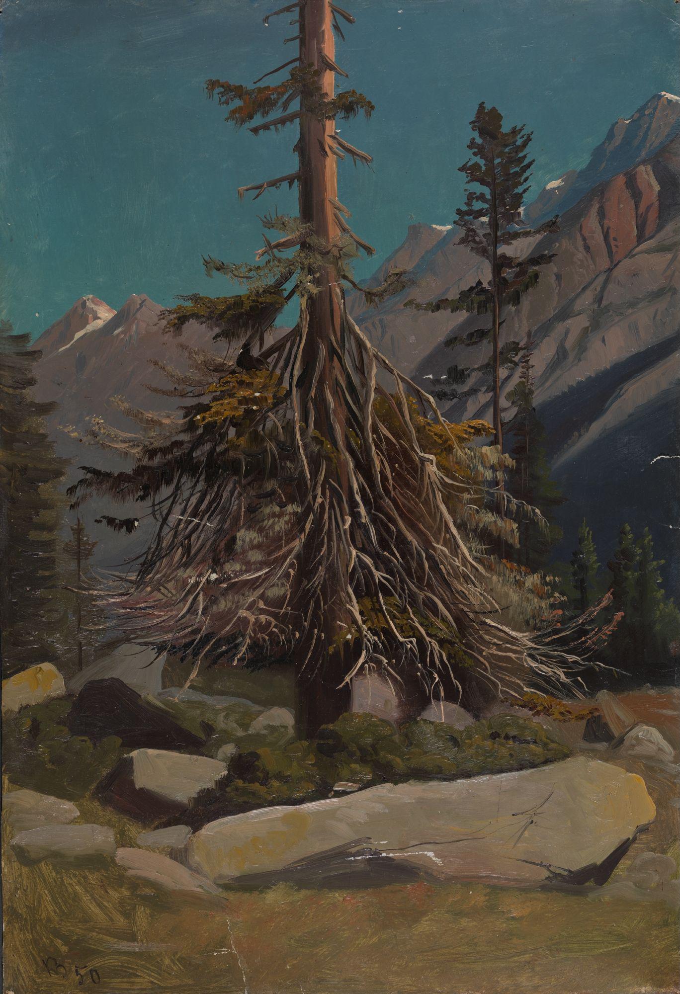 Knud Baade, Study of Trees in the Alps