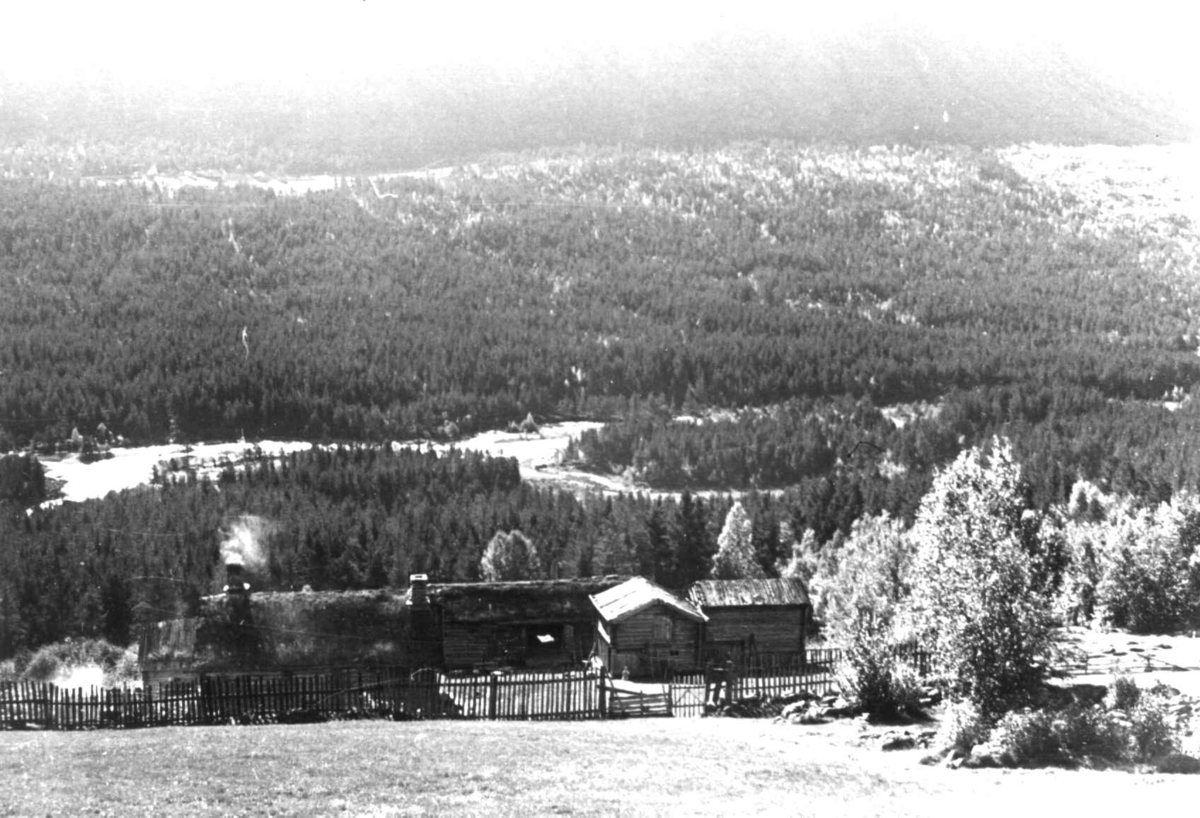 Anna Grostøl, Bråtådal, Skjåk, Oppland 1941. Landskap med Horta gård.
