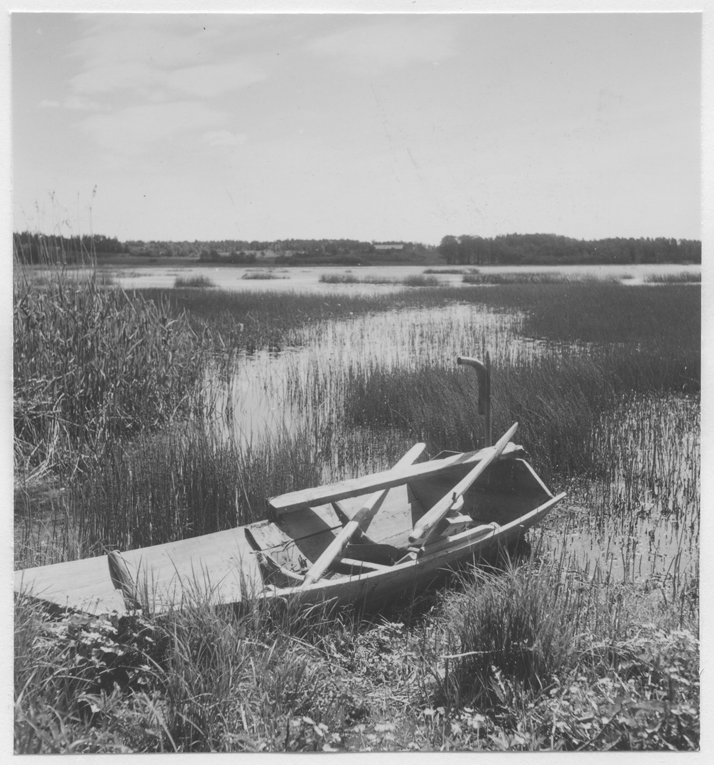 Mårten Sjöbeck, Fårsjön