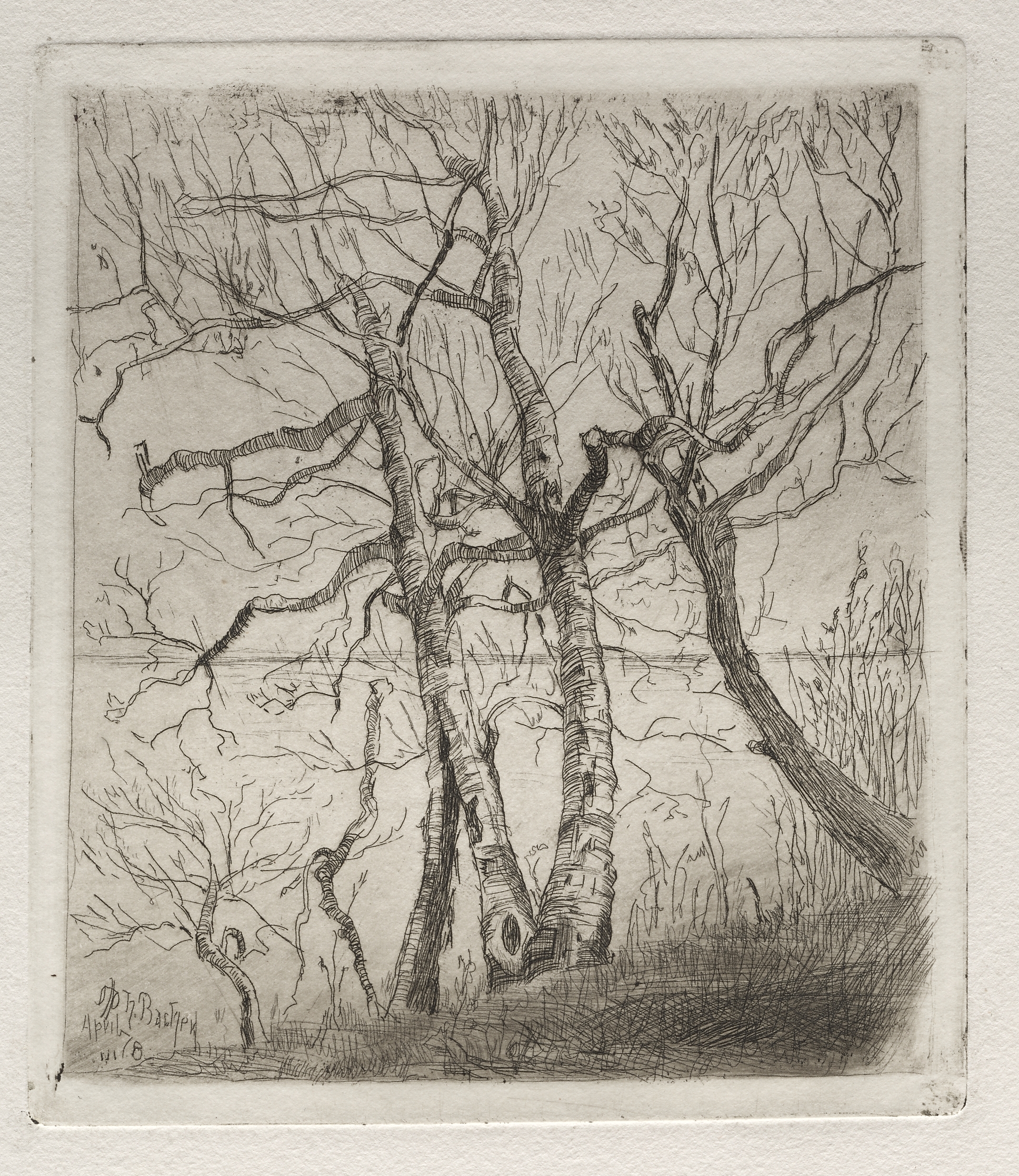Otto H. Bacher, Woods by the Lake