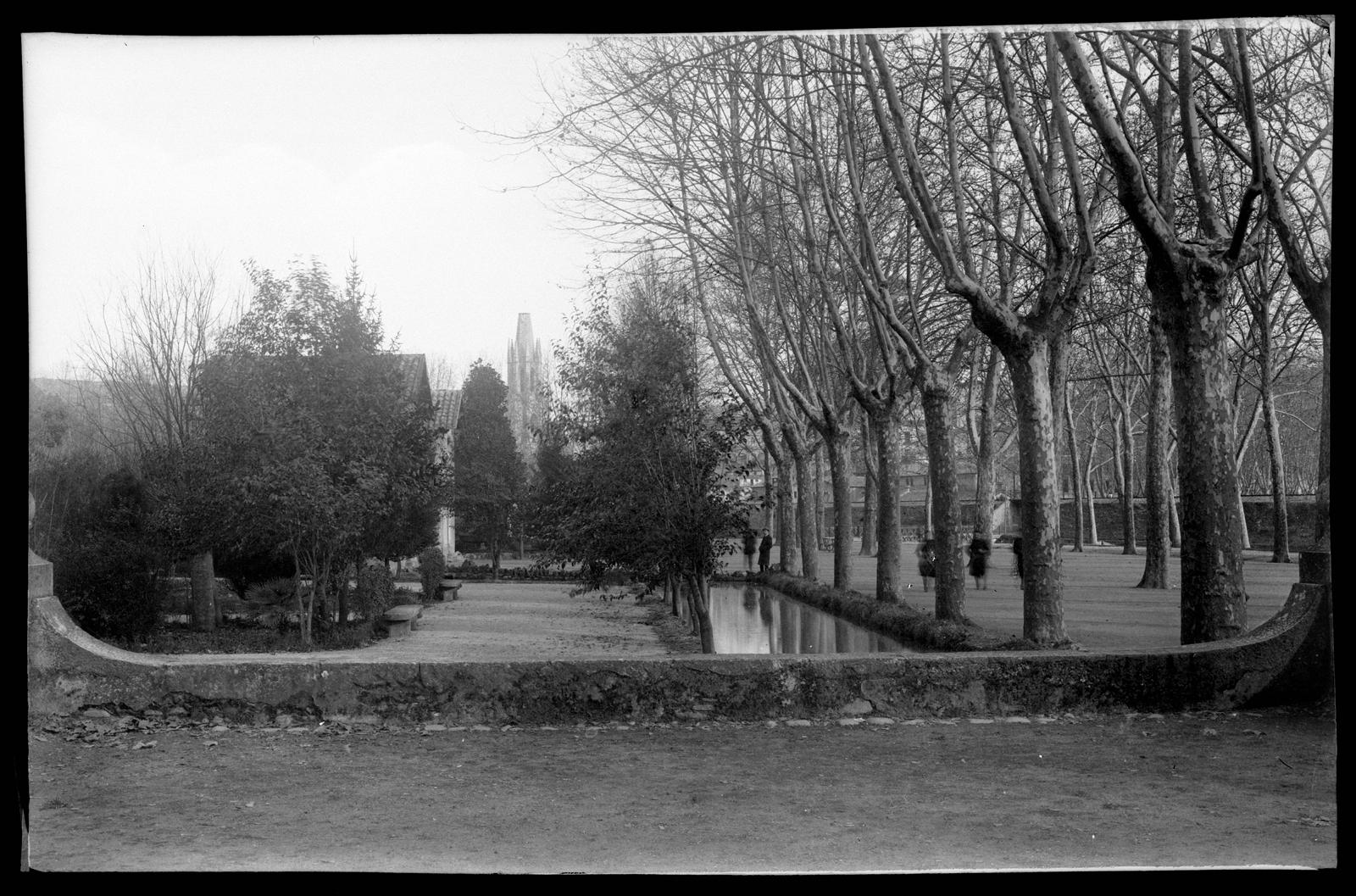 Desconegut, [The Meadow]