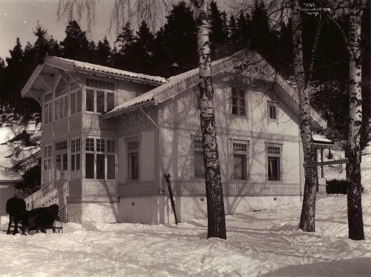 Anders Beer Wilse, Prot: Roald Amundsen - Villa fra haven 7/3 1909