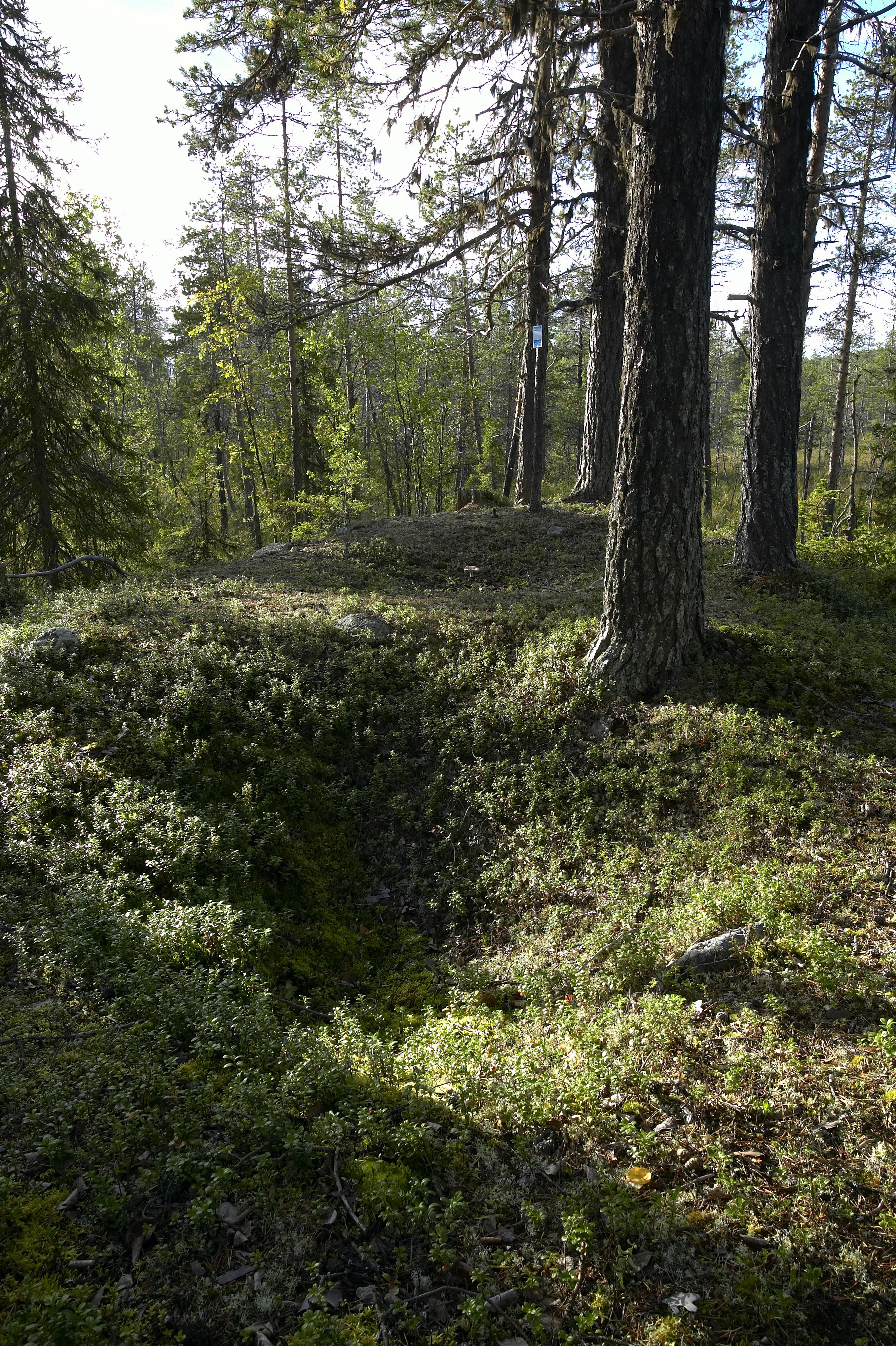 Bengt A Lundberg, Kaltisbäcken