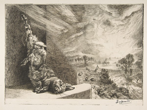 Félix Bracquemond, Jeannot Lapin