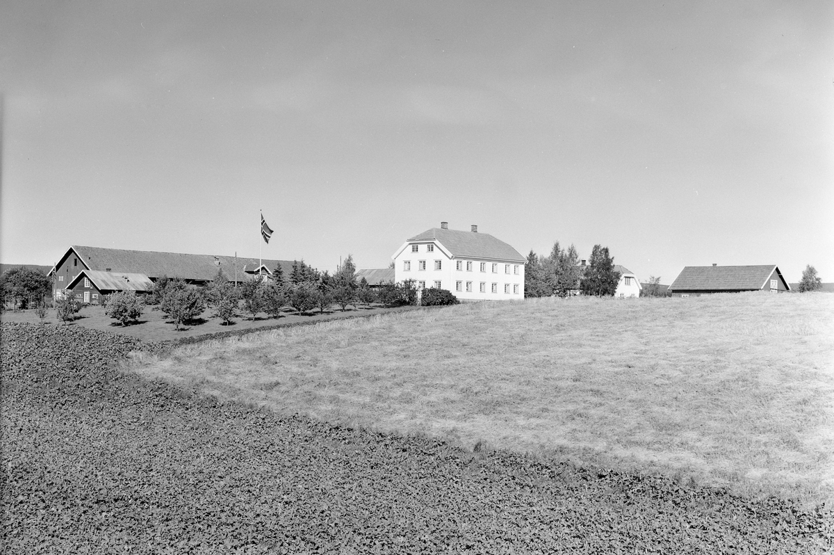 Anno Domkirkeodden, EKSTR: GARDSTUN, GRYLLING ØSTRE. Se Løtenboka, bind 2. Bygdeboka fra 1953, side 7.