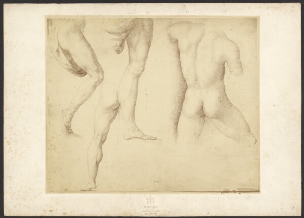 Charles Marville, [Three Male Nude Figure Studies by Raphaël]