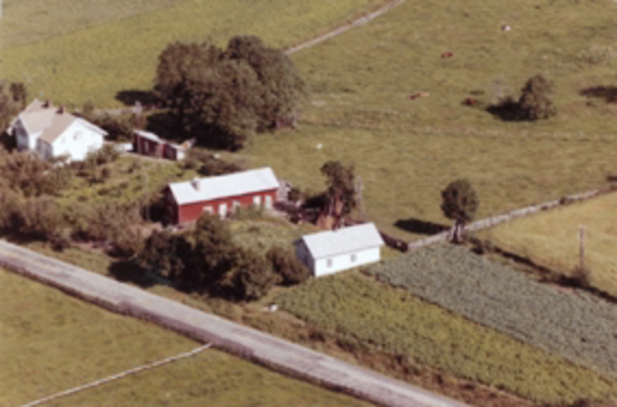 Widerøes Flyveselskap A/S, Flyfoto av bebyggelse på Ring, Ringsaker.