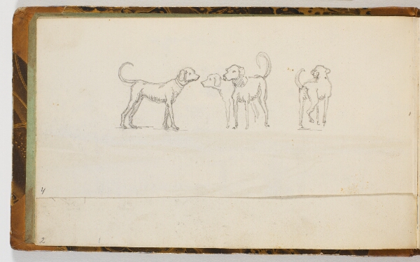 Martinus Rørbye, Studier af hunde