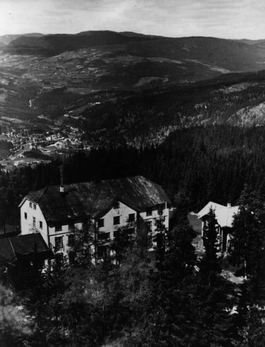 Anders Beer Wilse, Breidablikk Hotell Valdres