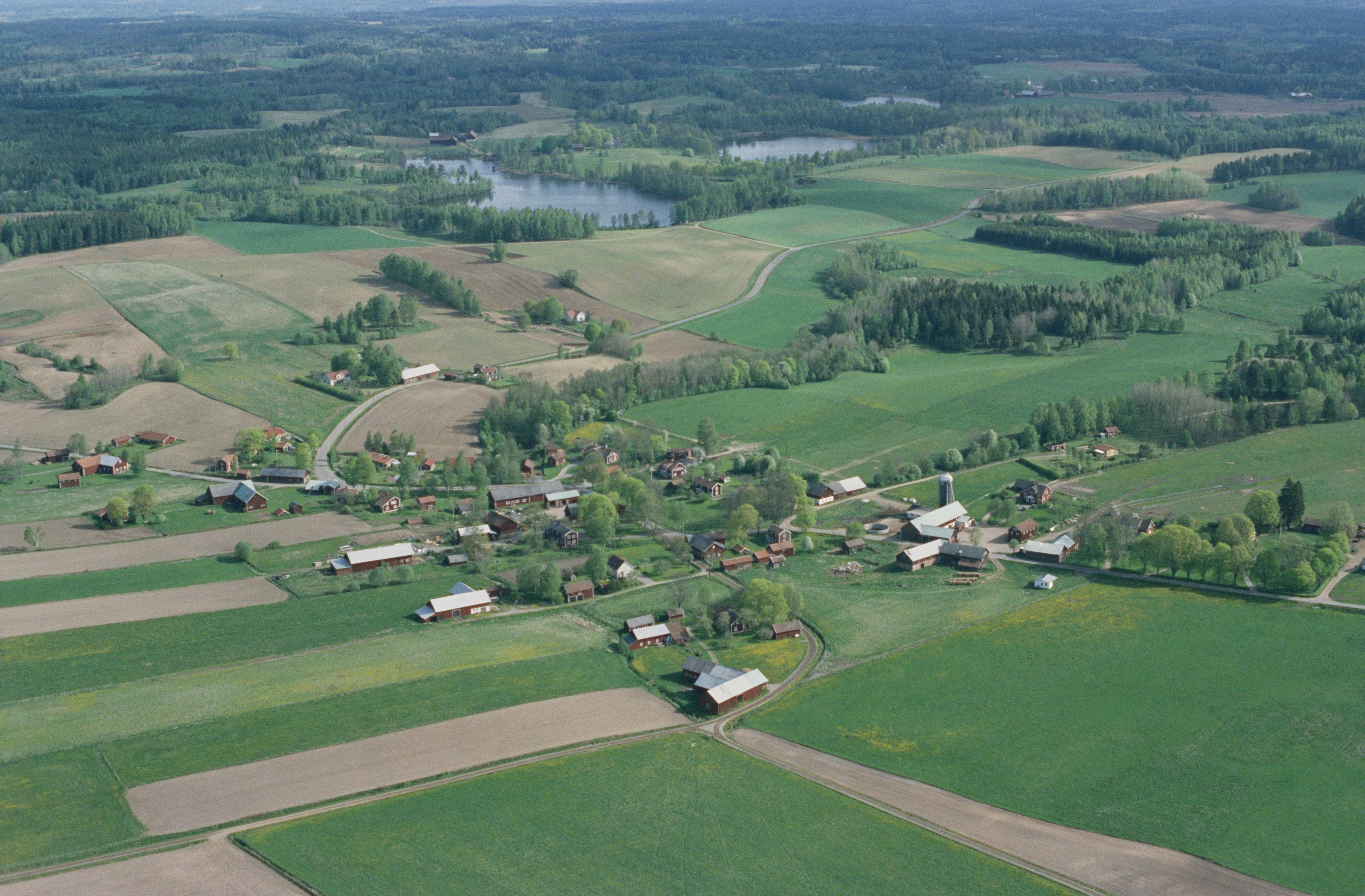 Jan Norrman, Snavlunda 262