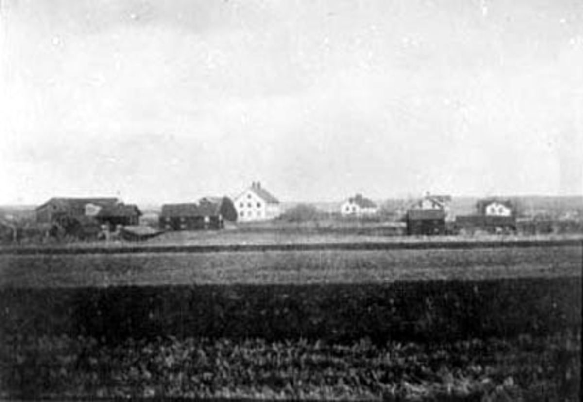 Anno Domkirkeodden, EKSTERIØR: GARDSBRUK, ALLE TRE ARNEBERG GÅRDENE, ROMEDAL