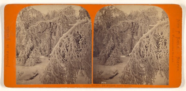 John P. Soule, Ice Foliage, Luna Island.