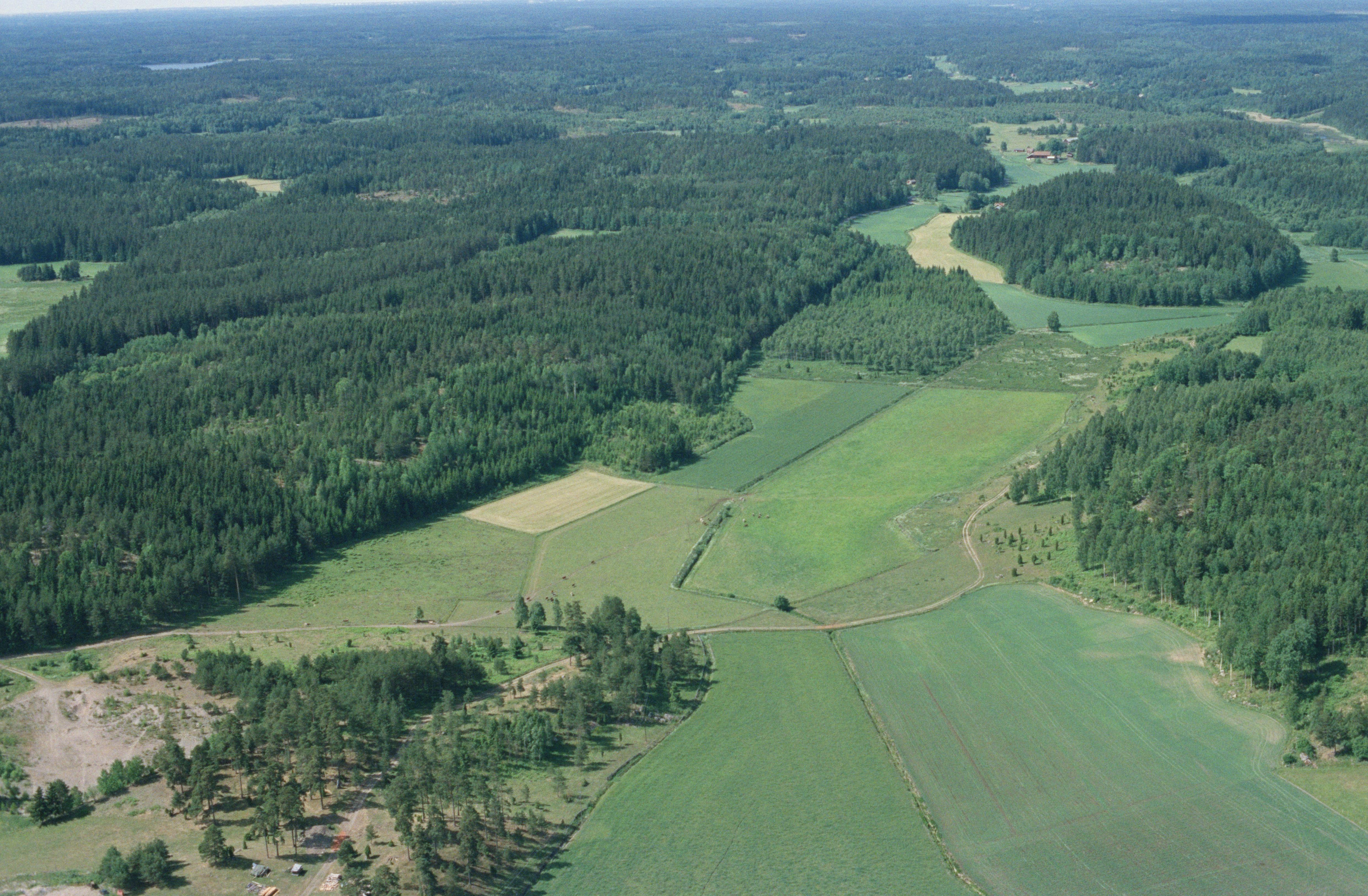 Jan Norrman, Riala 116:1