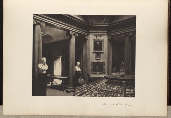 Thomas Annan, Interior Of The Hunterian Museum.