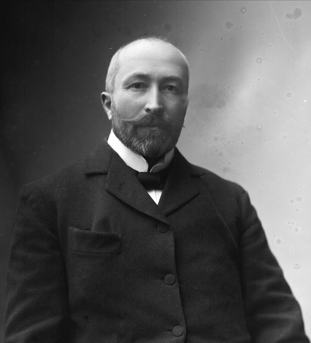 Gustav Borgen, Portrett av Haaken Larpent Mathiesen, som overtok Mathiesen Eidsvold Verk fra sin far i 1895.