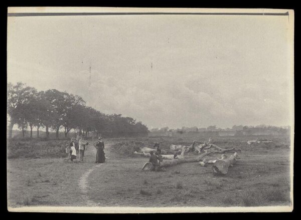 Gale, Lt. Col. Joseph, Group Surveying Felled Tree
