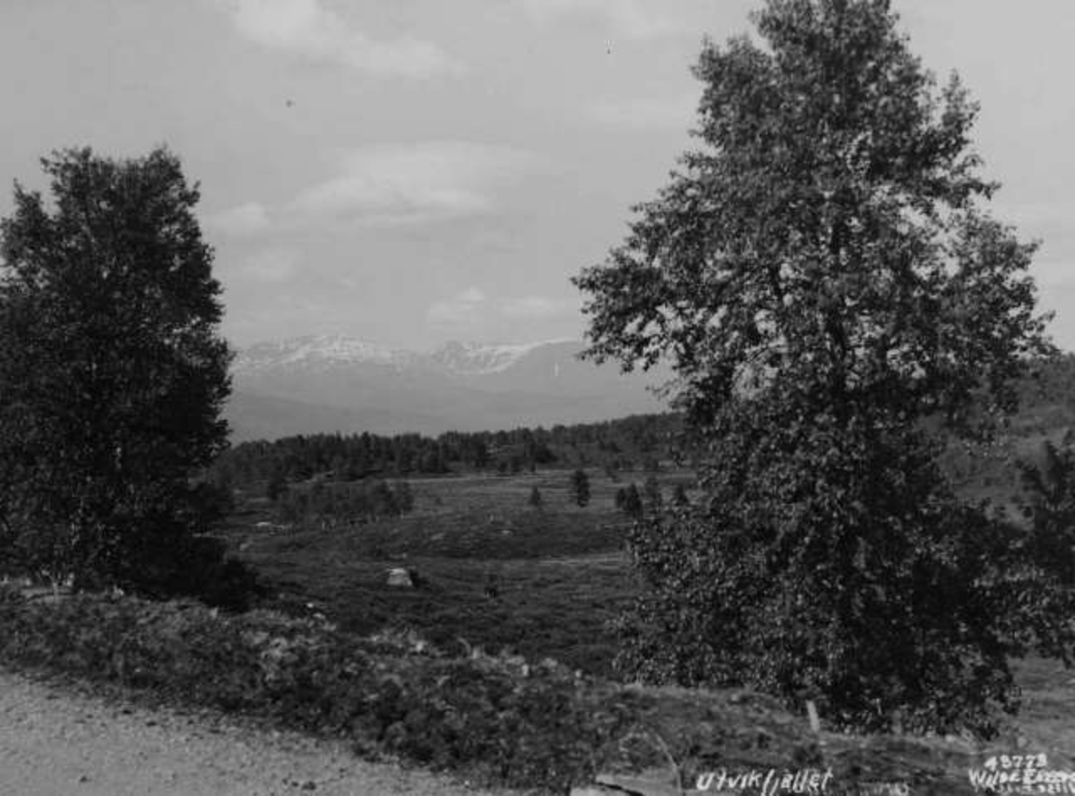 Anders Beer Wilse, -6738