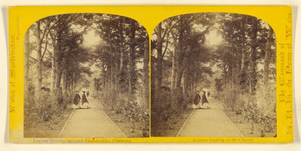 London Stereoscopic and Photographic Company, Avenue leading to the Church. [Sandringham, England]