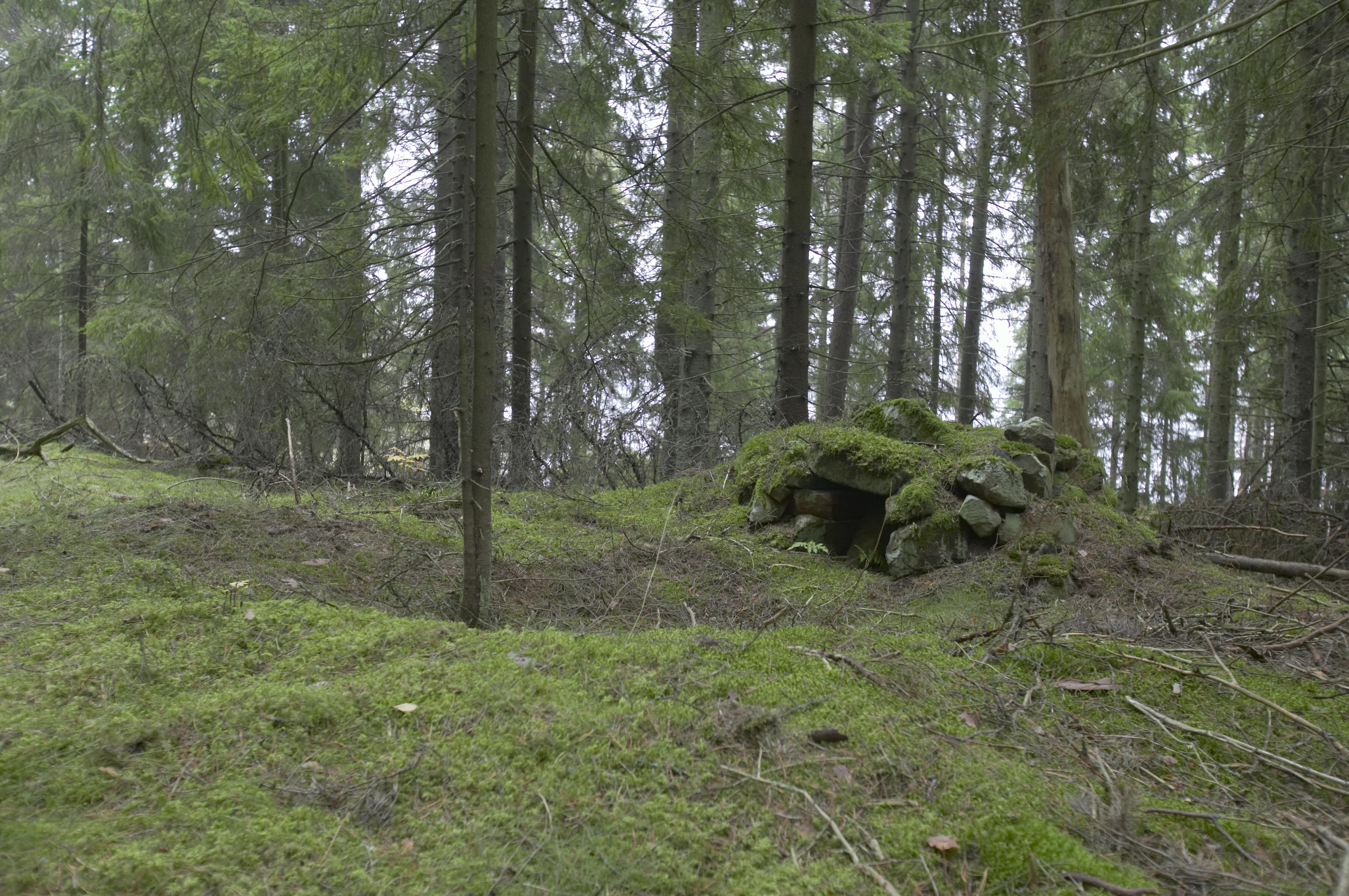 Bengt A Lundberg, Fagraholms fly