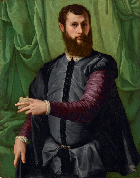 Francesco Salviati, Portrait of a Man
