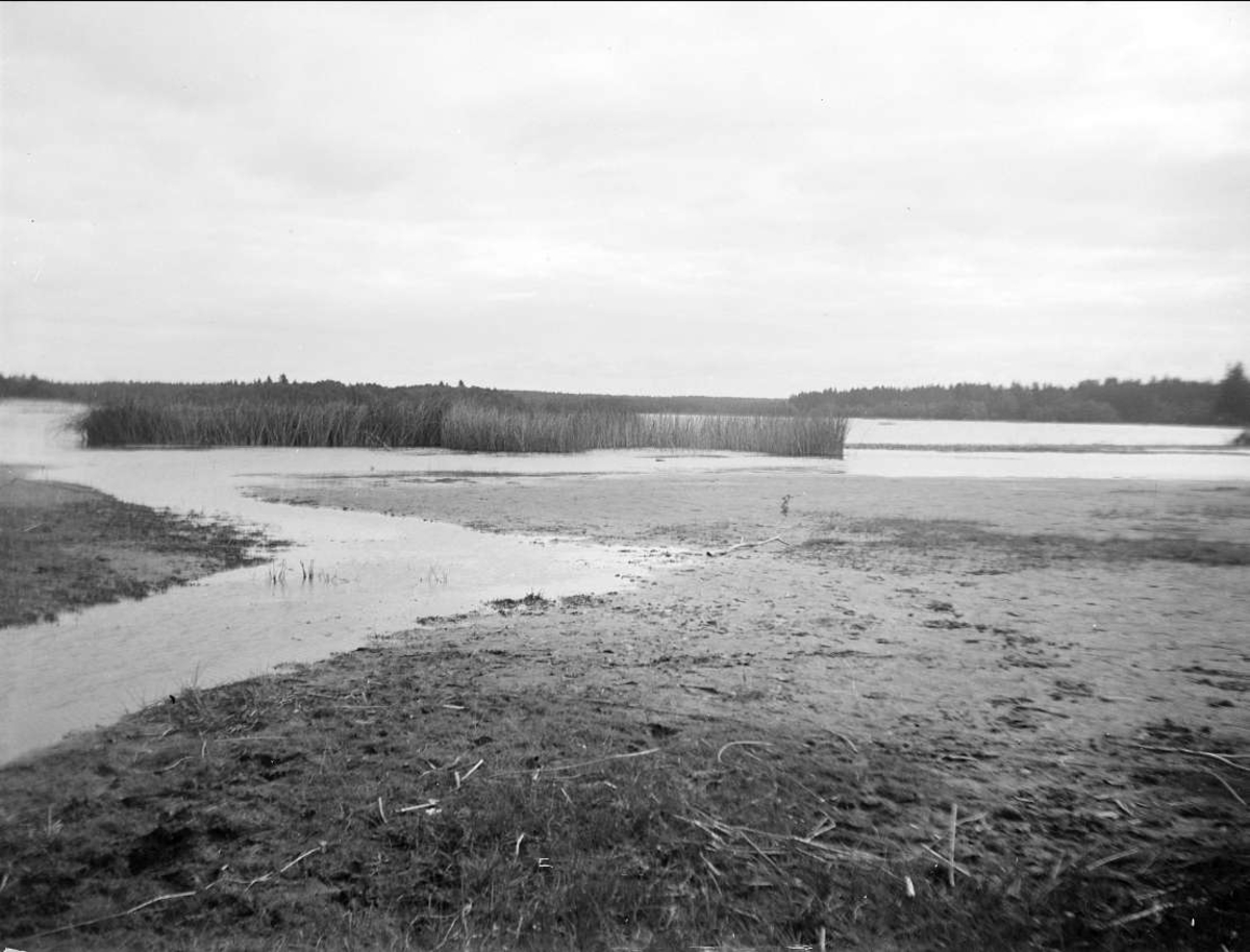 August Fredrik Schagerström, Dalälven vid Älvkarleby, Uppland augusti 1924