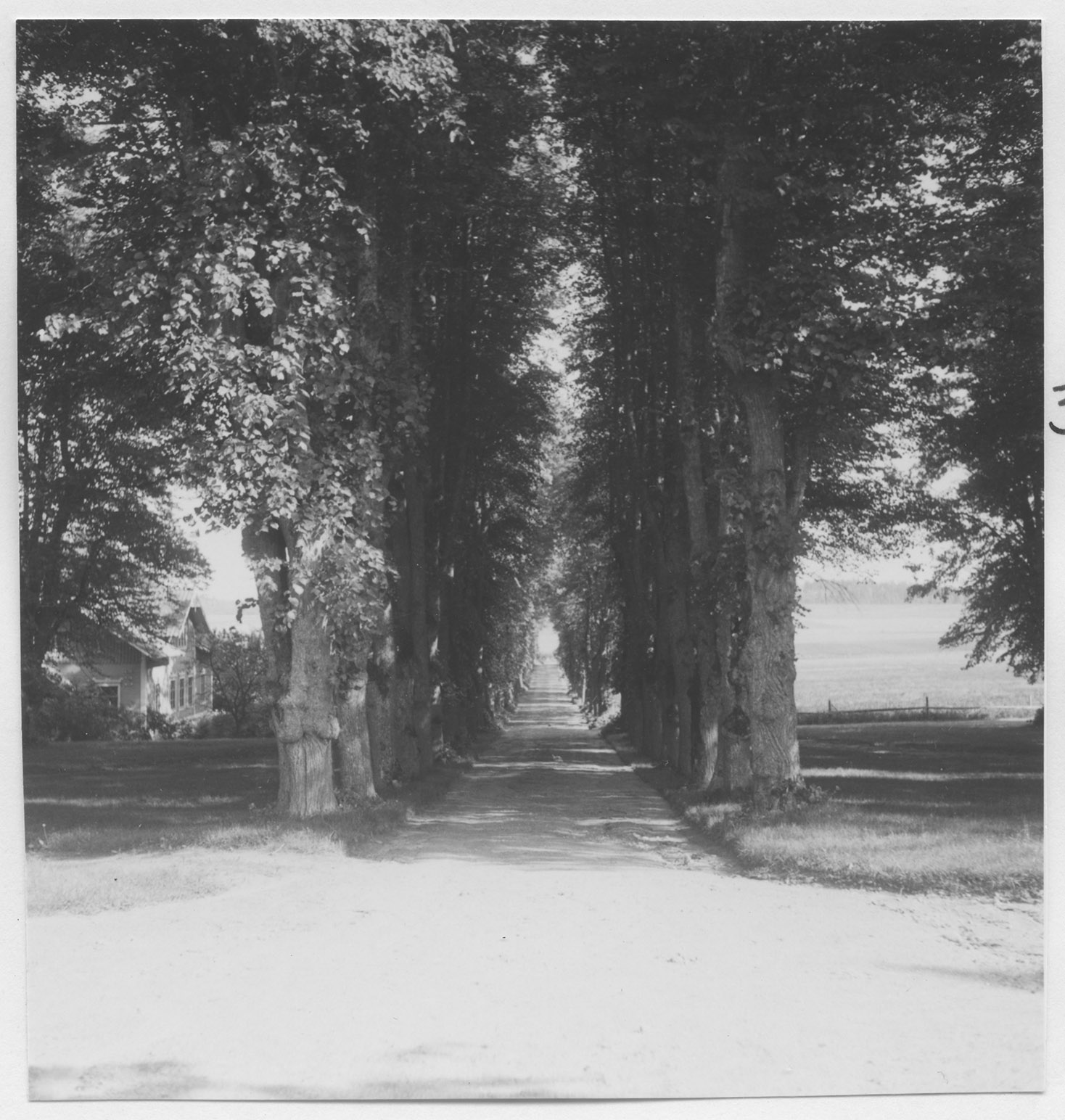 Mårten Sjöbeck, Näs Sätesgård