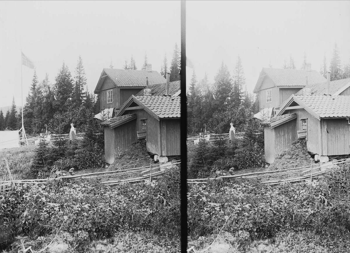 Axel Quinsgaard Wiborg, Margrethe Q. Wiborg ved huset på Holoa seter, Hadeland, Jevnaker, Oppland, 1903.