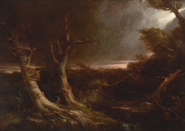 Thomas Cole, Tornado in an American Forest