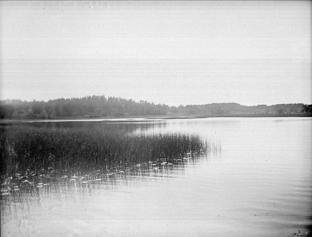 August Fredrik Schagerström, Södersjön, Almunge socken, Uppland juni 1933