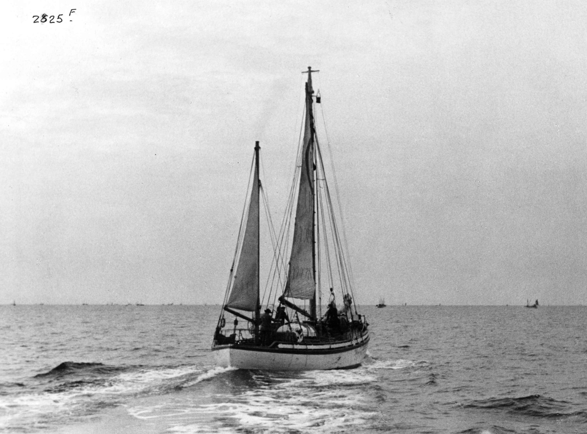 Anders Beer Wilse, Redningsskoyter