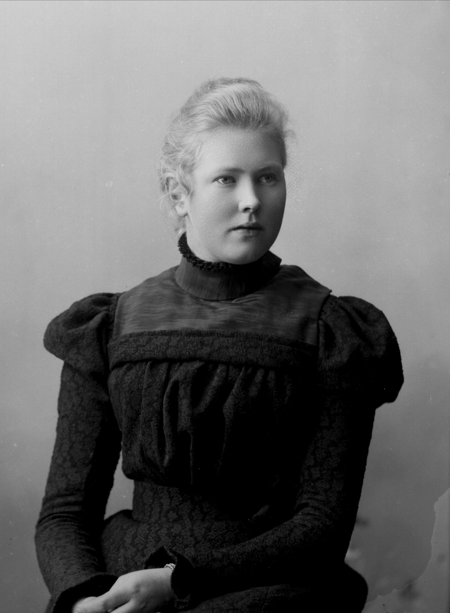Gustav Borgen, NFB.26006