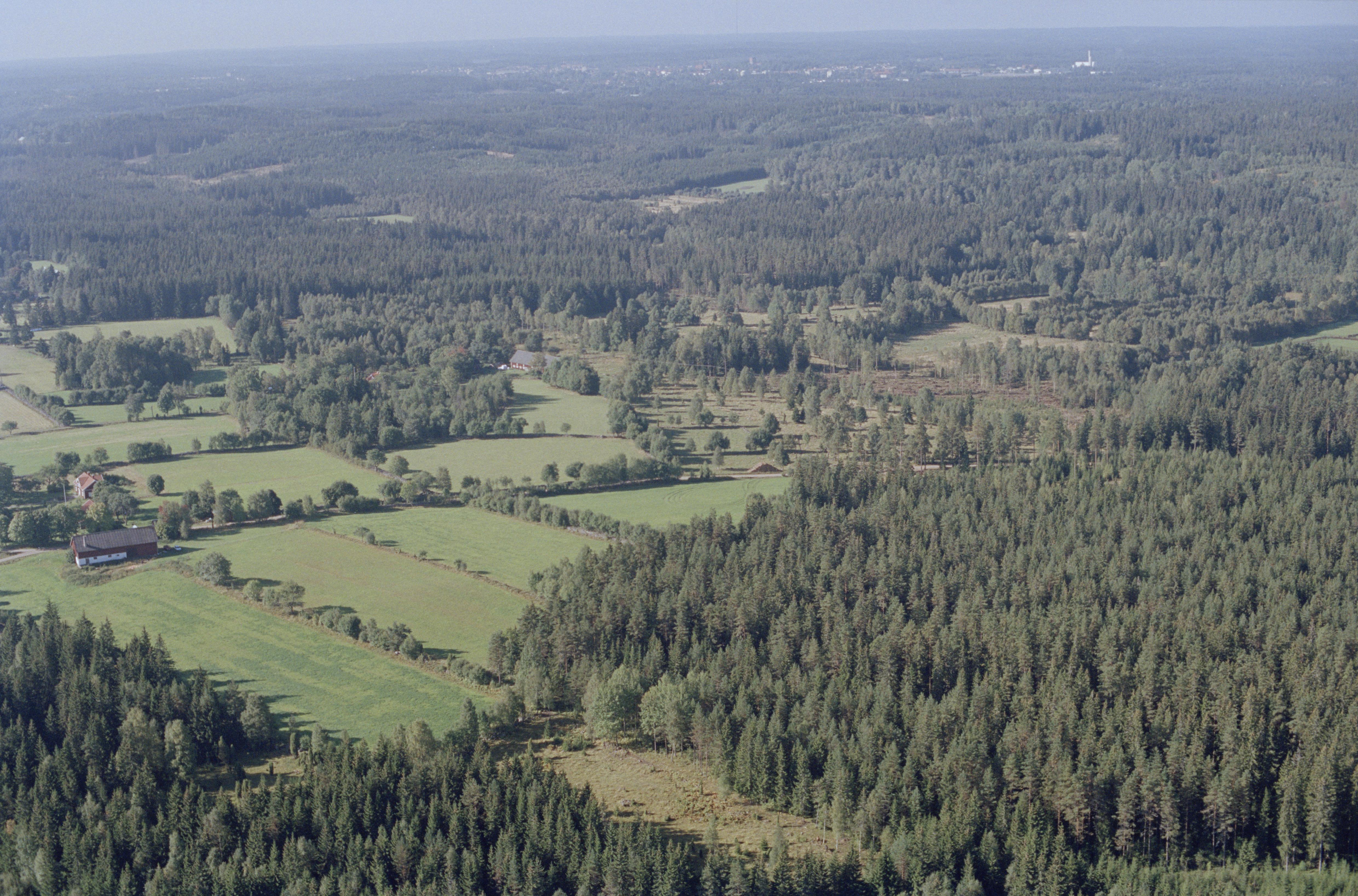 Jan Norrman, Danstorp