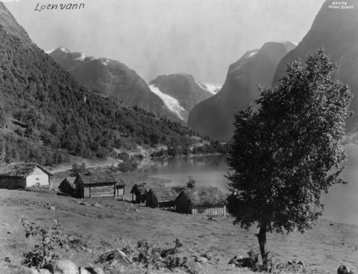 Anders Beer Wilse, -7143