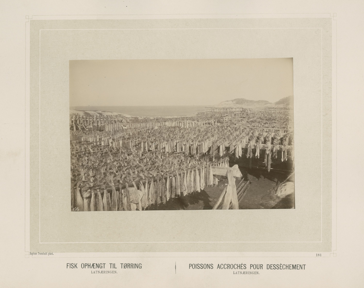 Sophus Tromholt, Billeder fra Lappernes Land/Tableaux du Pays des Lapons