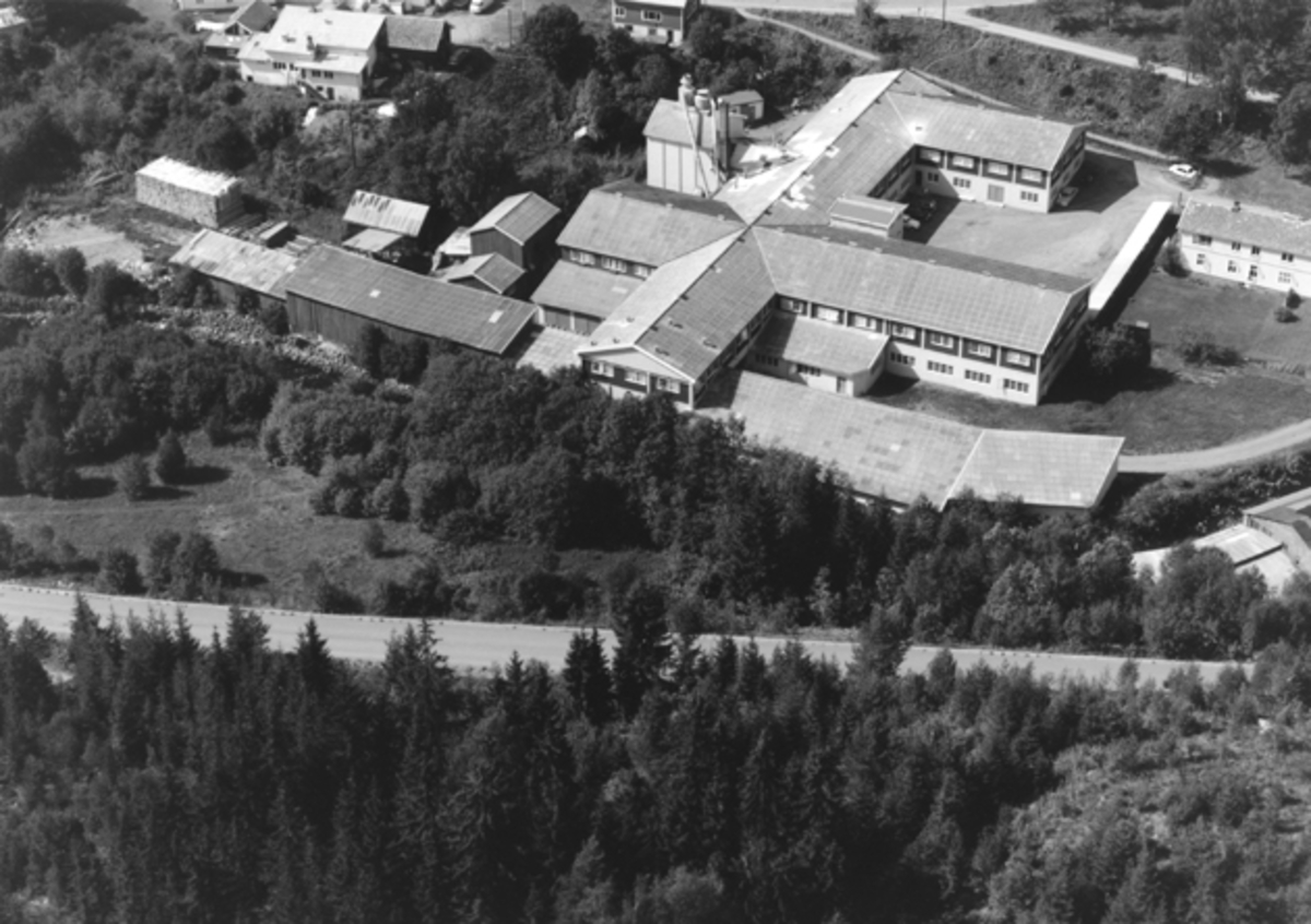 Widerøes Flyveselskap A/S, Flyfoto av Strømmen bruk, Moelv, Ringsaker.