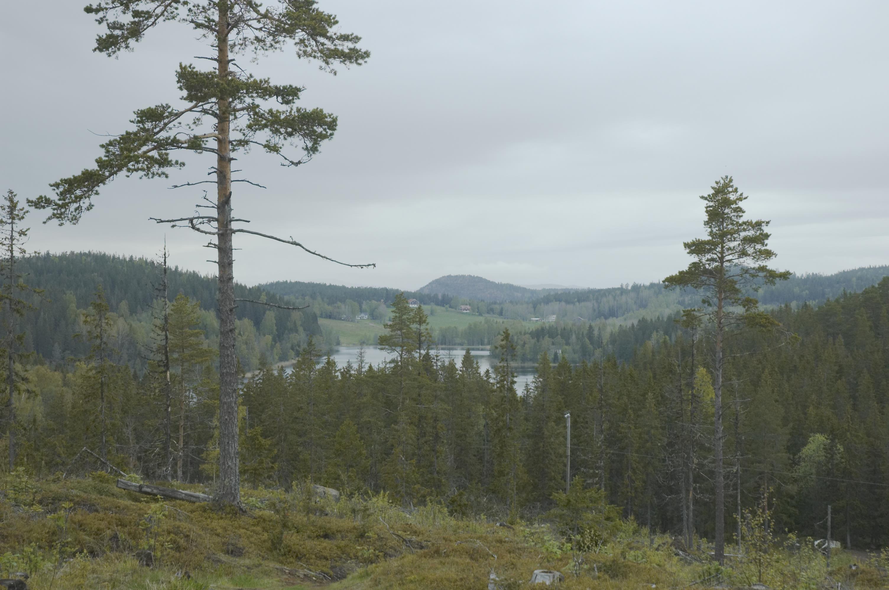 Bengt A Lundberg, Ulvön