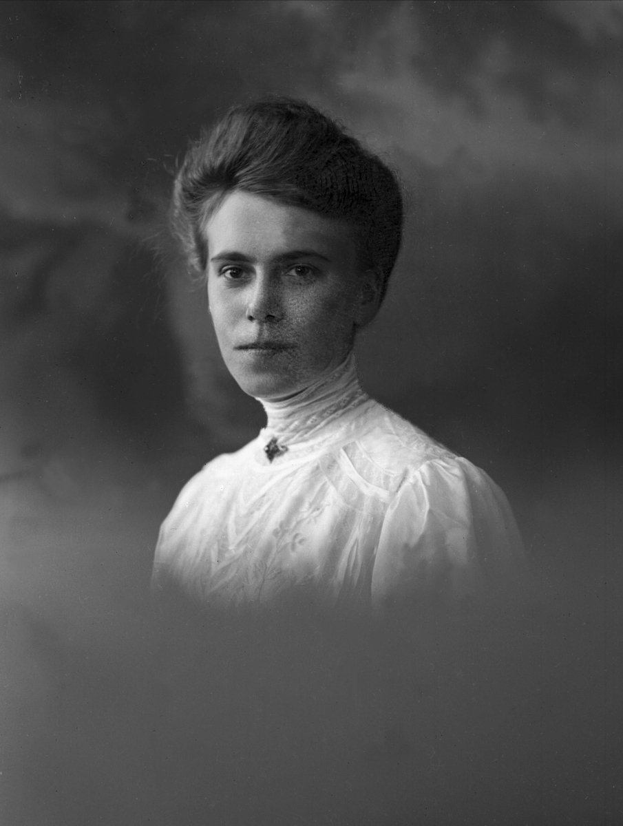 Gustav Borgen, NFB.09936
