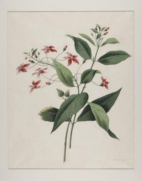 Unknown, Painting