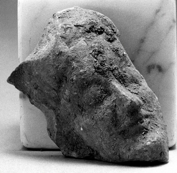 Unknown, Female Head (Fragment)