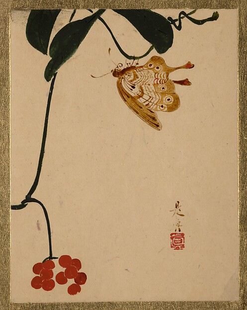 Shibata Zeshin, Red Berry Plant and Butterfly